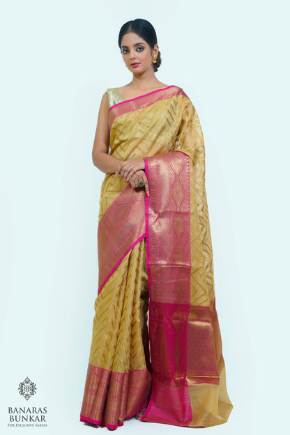 Banarasi cotton tissue silk saree allover zigzag design with contrast skirt Bord