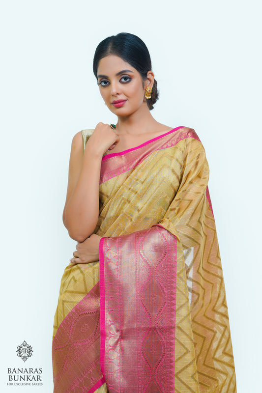 Banarasi cotton tissue silk saree allover zigzag design with contrast skirt Bord