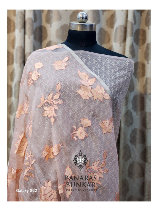 Banarasi Pure Chikankari Organza Silk Saree with Allover Floral Buta Resham Embroidery